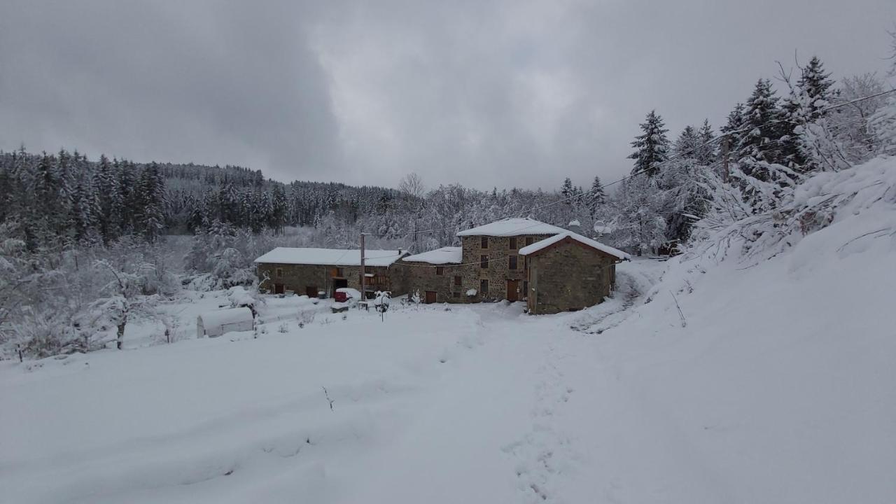 Gite Du Moulin Chenelette Exteriér fotografie